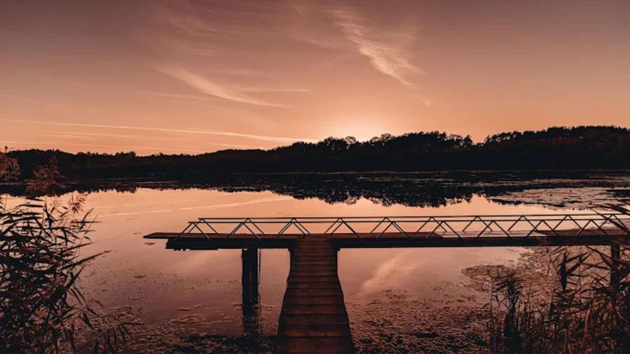 AreaSummer5KM AreaSummer5KM